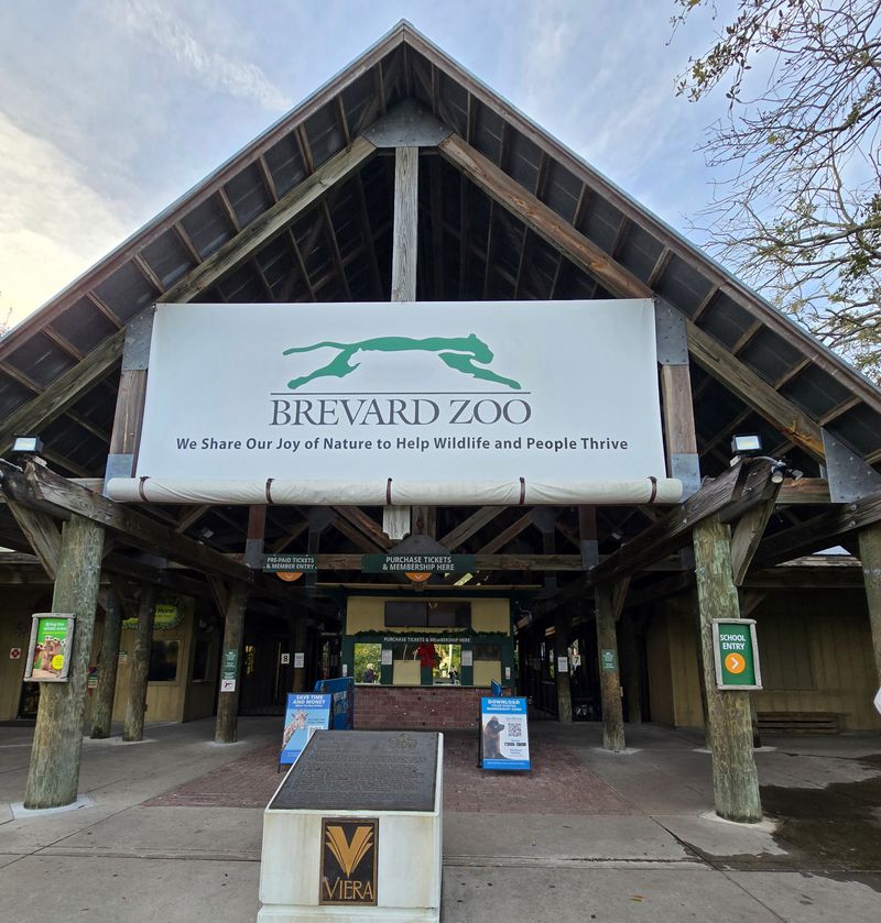 Zip Lines And A Little Adrenaline