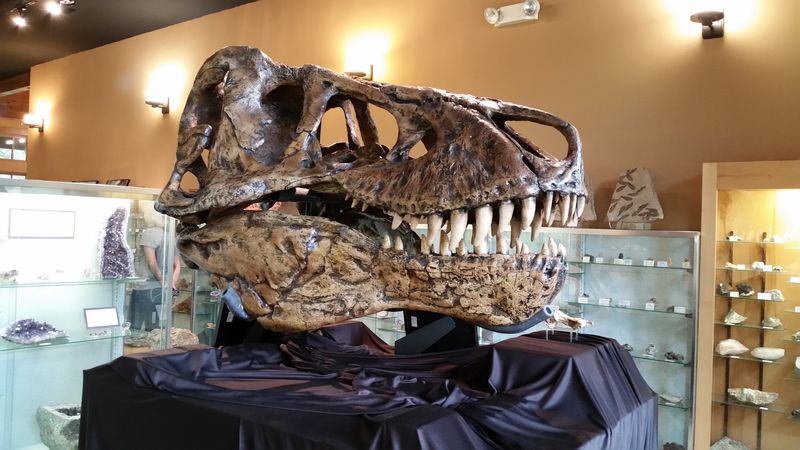 The Bob Campbell Geology Museum Is A Hidden Treasure