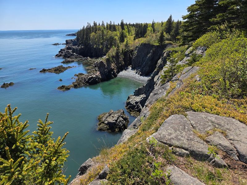 The Bold Coast, Cutler
