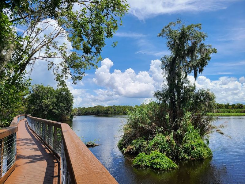 Safety And Preparation Essentials