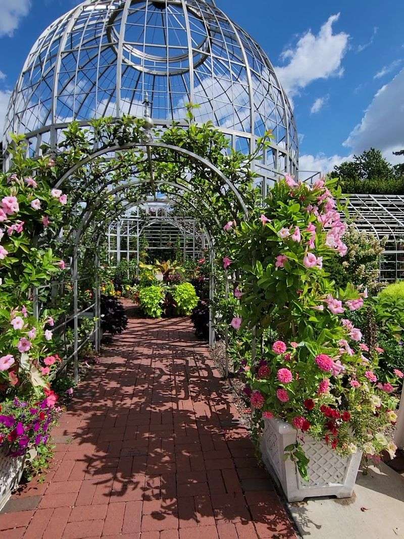 Taylor Conservatory & Botanical Gardens, Taylor