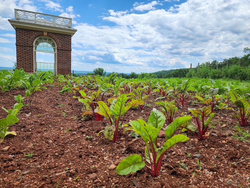 The Botanical Garden That Would Make Any Plant Lover Swoon