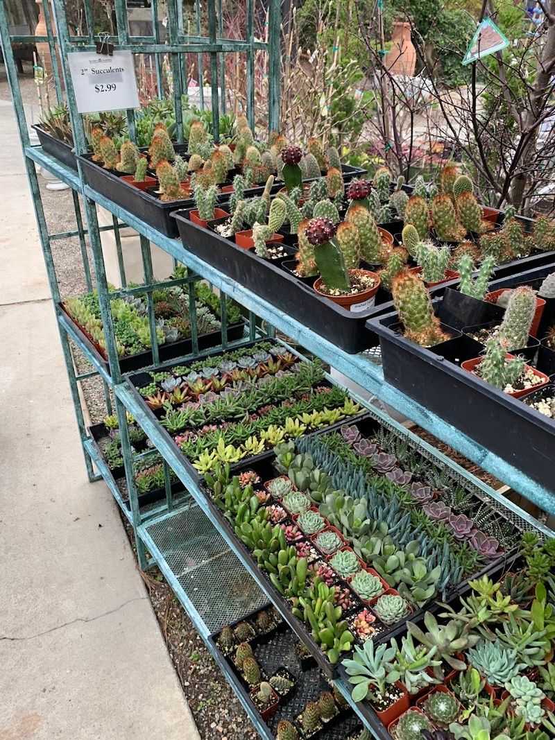 The Botanical Wonderland Of The Main Garden