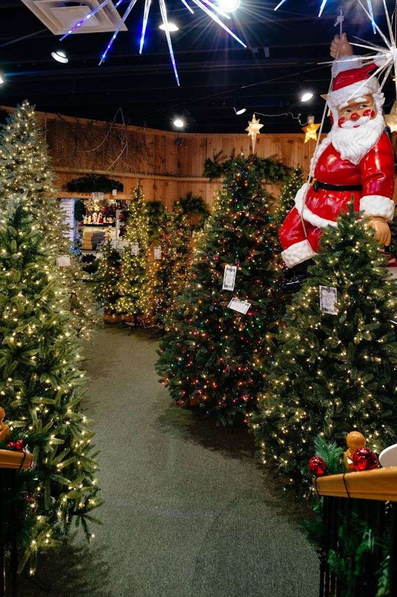 The Bottom Line On Colorado's Most Committed Christmas Store The Bottom Line On Colorado's Most Committed Christmas Store