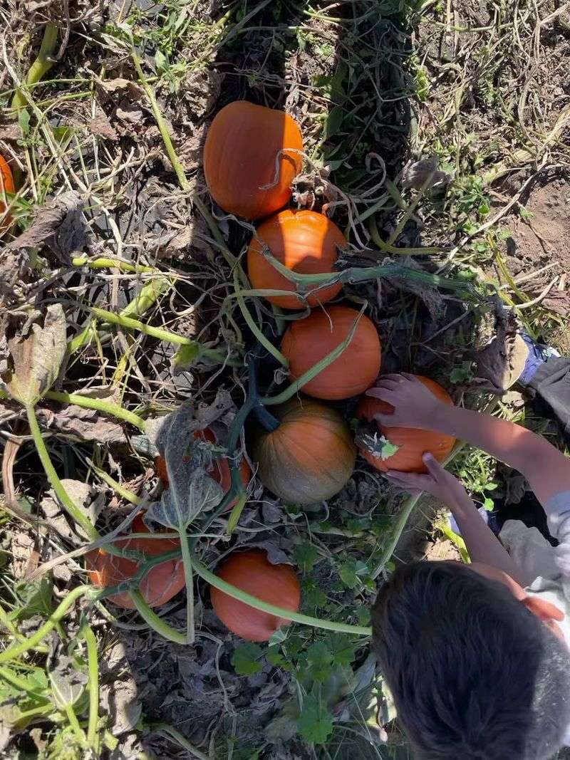 The Bottom Line on Miller Farms and Why It Sticks With You