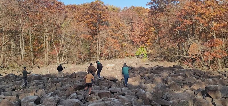 The Rocks Actually Produce Musical Tones