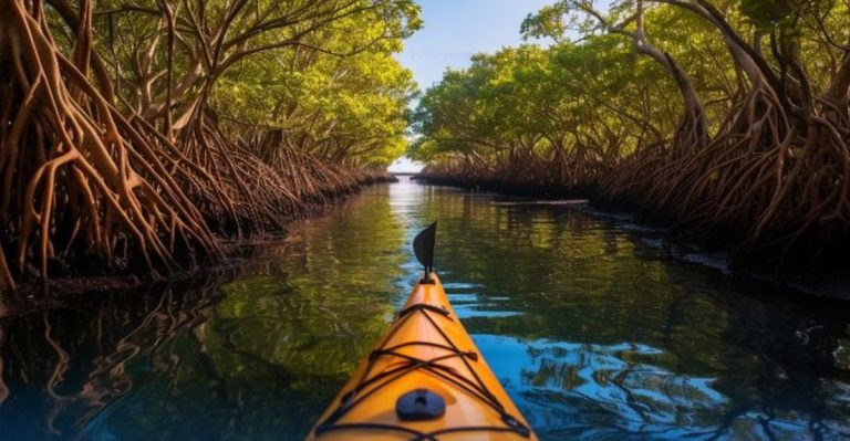 The Breathtaking Mangrove Tunnel In Florida Few Tourists Know About