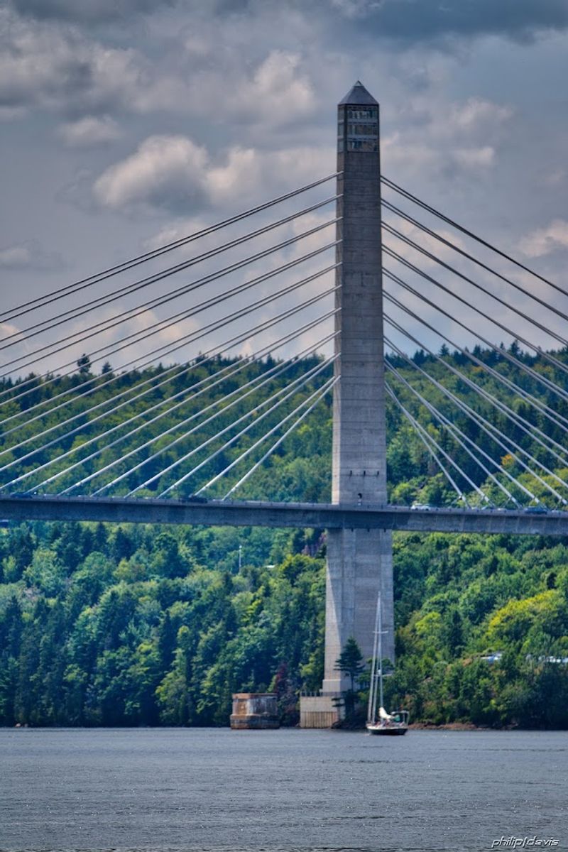 The Bridge Above The Fog