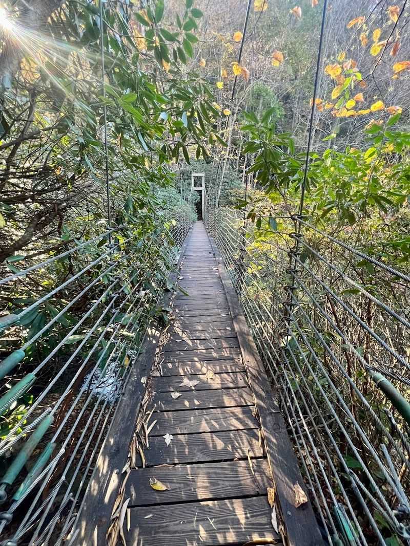 The Bridge Itself Is A Real Showstopper