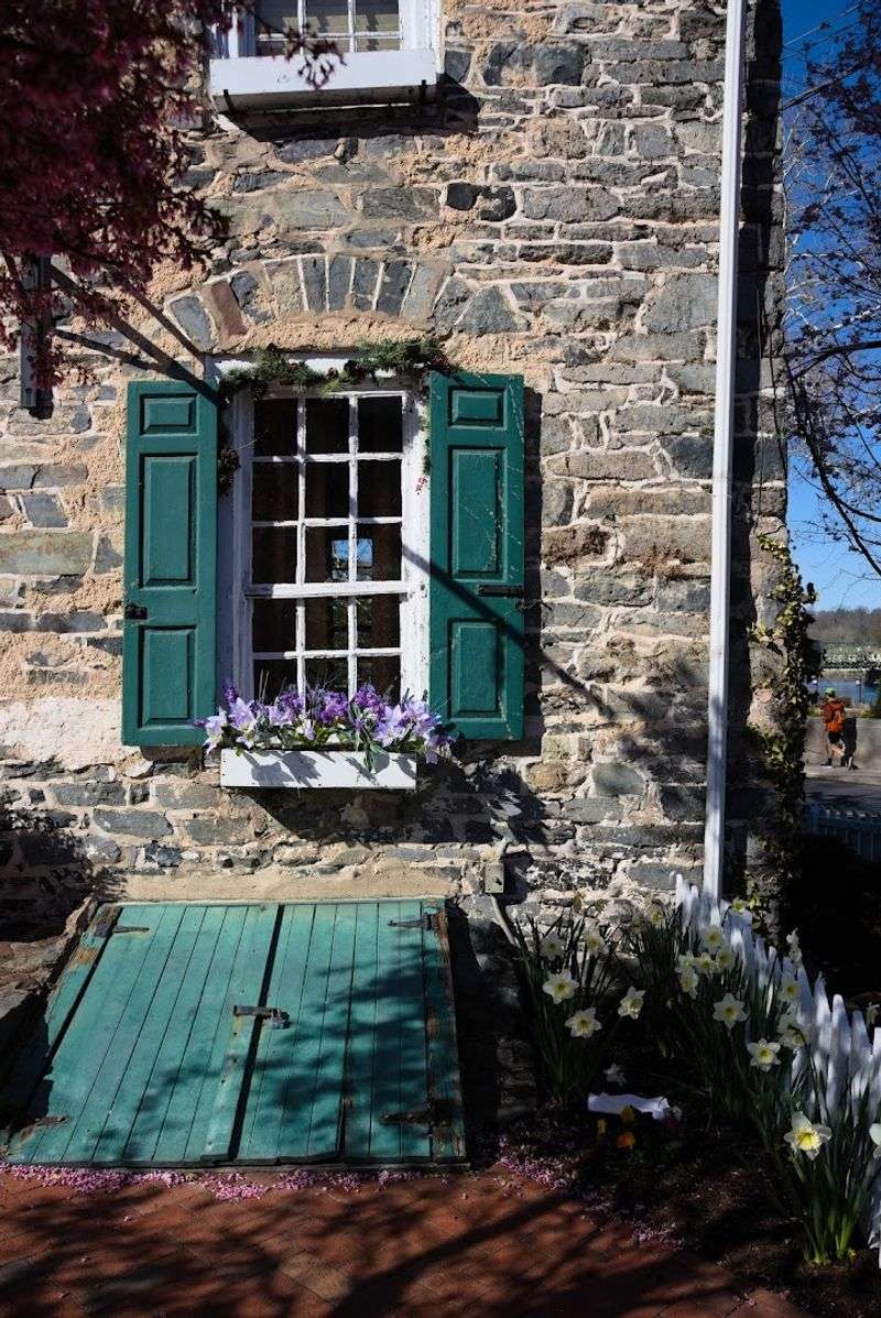 Cintra And The Town's 1800s Architecture