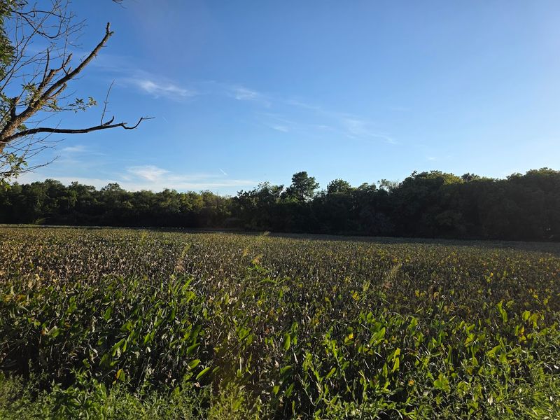 The Bristol Marsh Is A Hidden Natural Gem The Bristol Marsh Is A Hidden Natural Gem