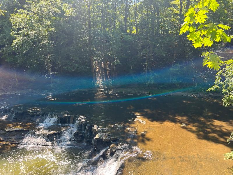 The Broader South Chagrin Reservation Context