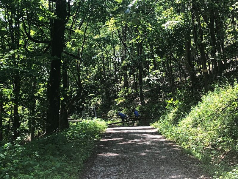 The Brumley Mountain Trail Breakdown The Brumley Mountain Trail Breakdown