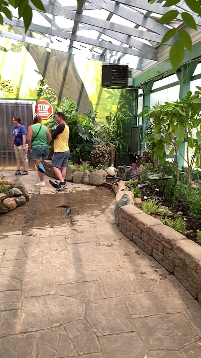 Educators Who Light Up Facts