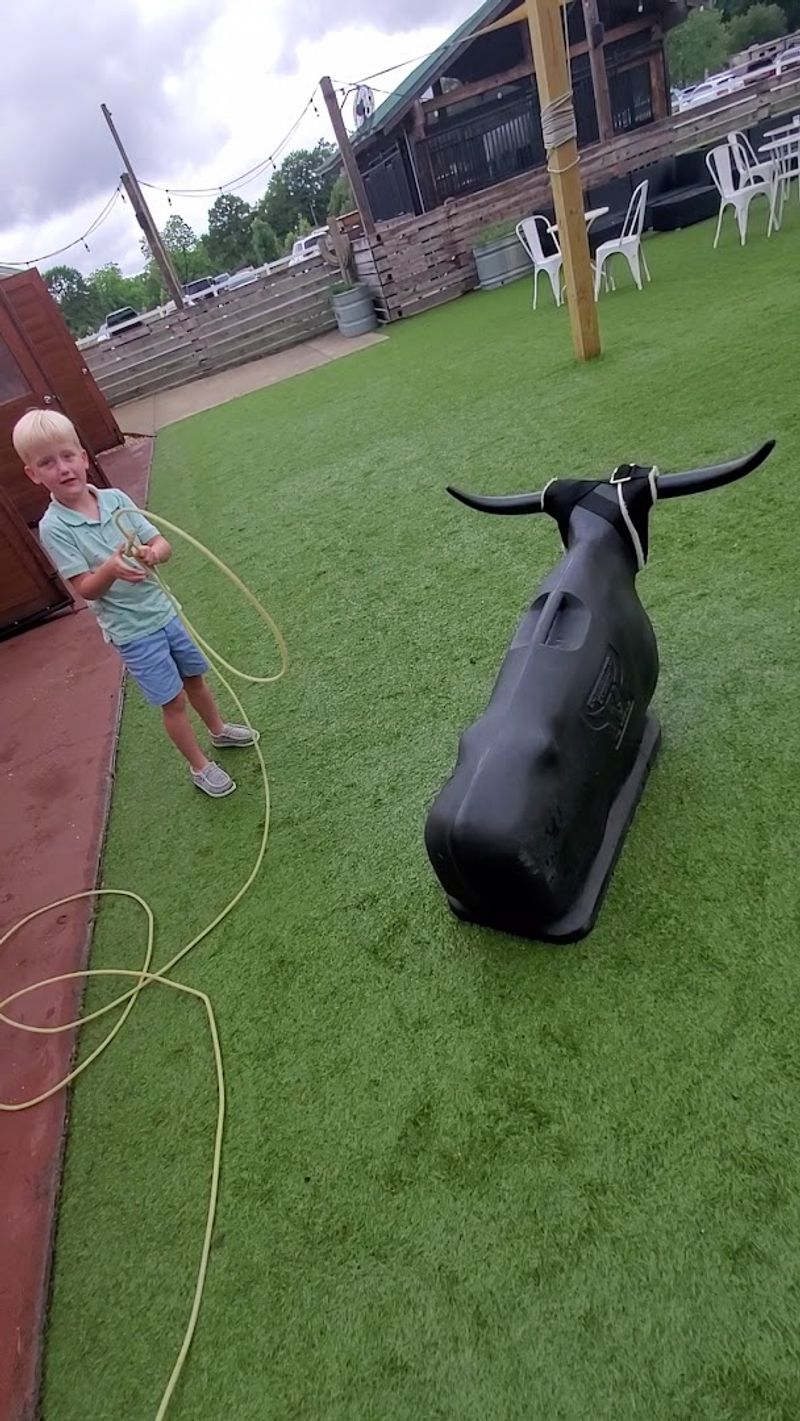 The Bull Riding Excitement That Draws Big Crowds