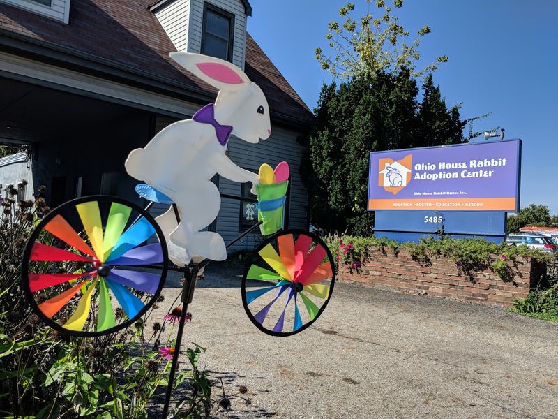 The Bunny HQ Sits Right On North High Street
