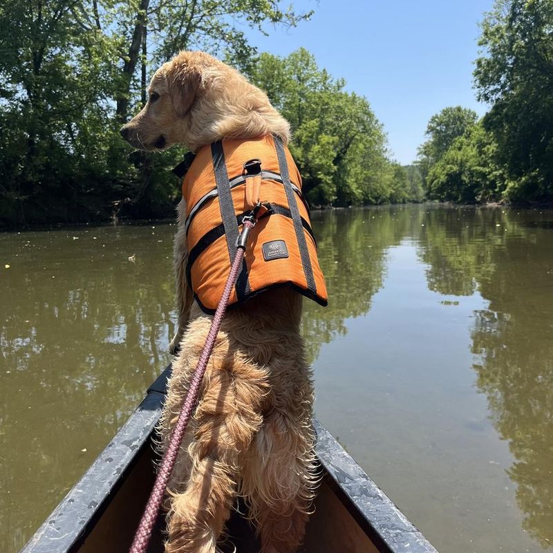 The Scenic River Paddle Experience