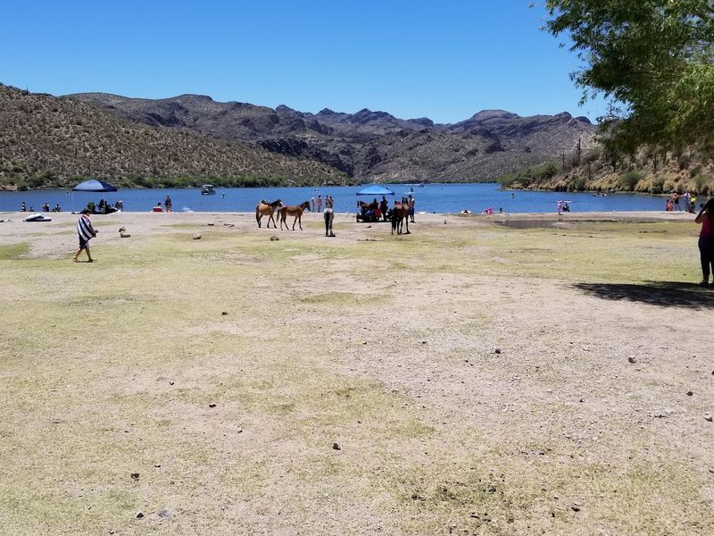 Everything You Need For A Full Day Out