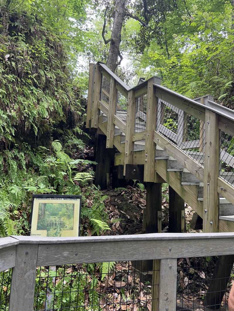 The Visitor Center: Your Gateway To Understanding