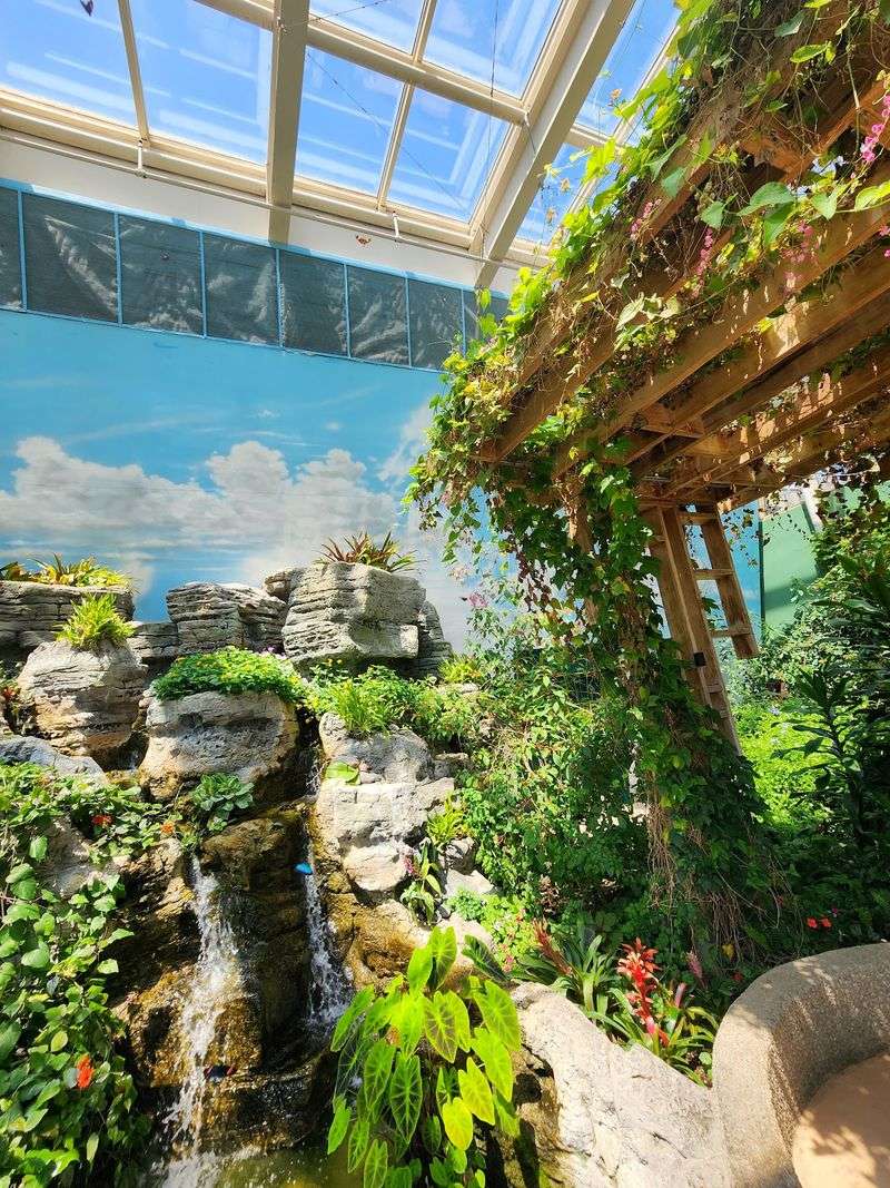 The Butterfly Haven and Its Fluttering Residents