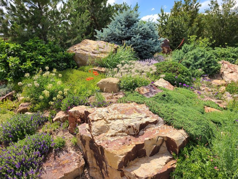 A Foothills Garden That Teaches Without Lecturing