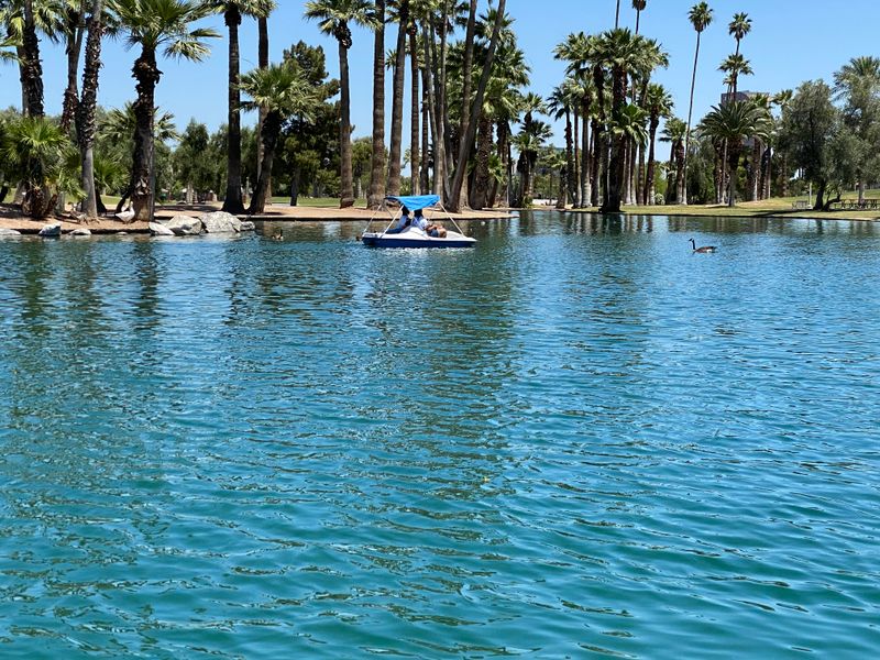 Pedal Boats Let You Explore at Your Own Pace