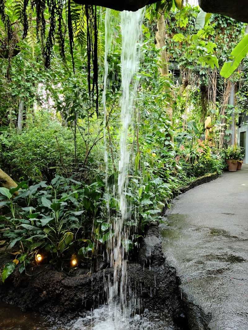 Tips for Getting the Most Out of Your Visit