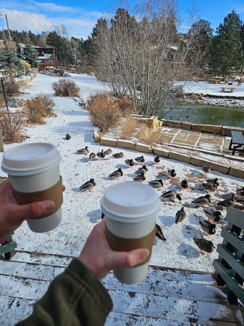 Final Verdict: The Estes Park Stop Worth Rerouting For