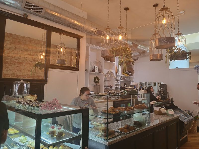 Mon-Petit-Choux, Cincinnati