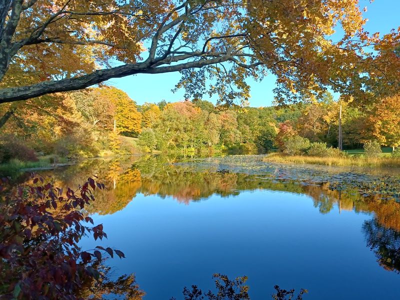  The Calm Before The Cascade