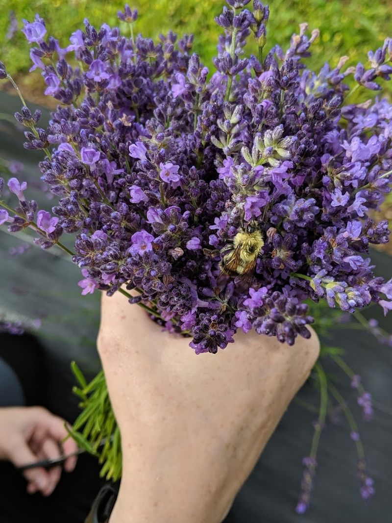 Practical Tips Before You Go