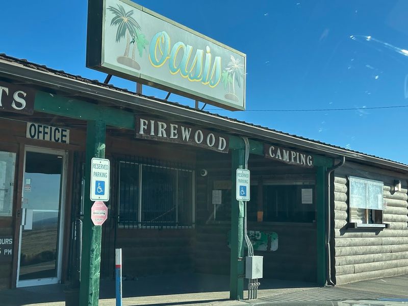 The Camp Store: Everything You Forgot and a Few Things You Did Not Know You Needed
