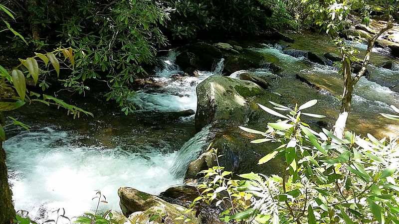 Nature Built The Best Pool