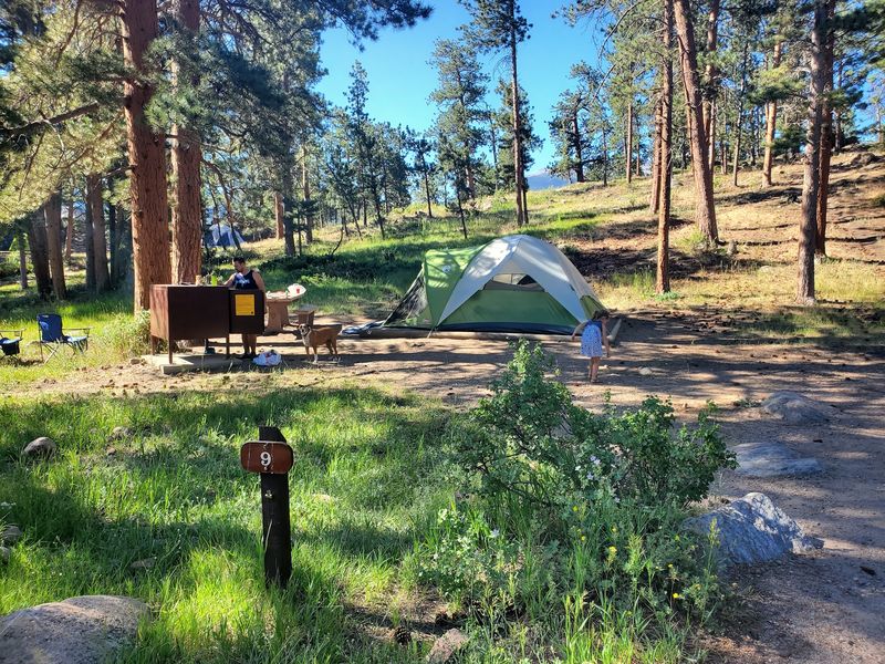 The Campground Layout Makes Wildlife Awareness Part Of Camp Life The Campground Layout Makes Wildlife Awareness Part Of Camp Life