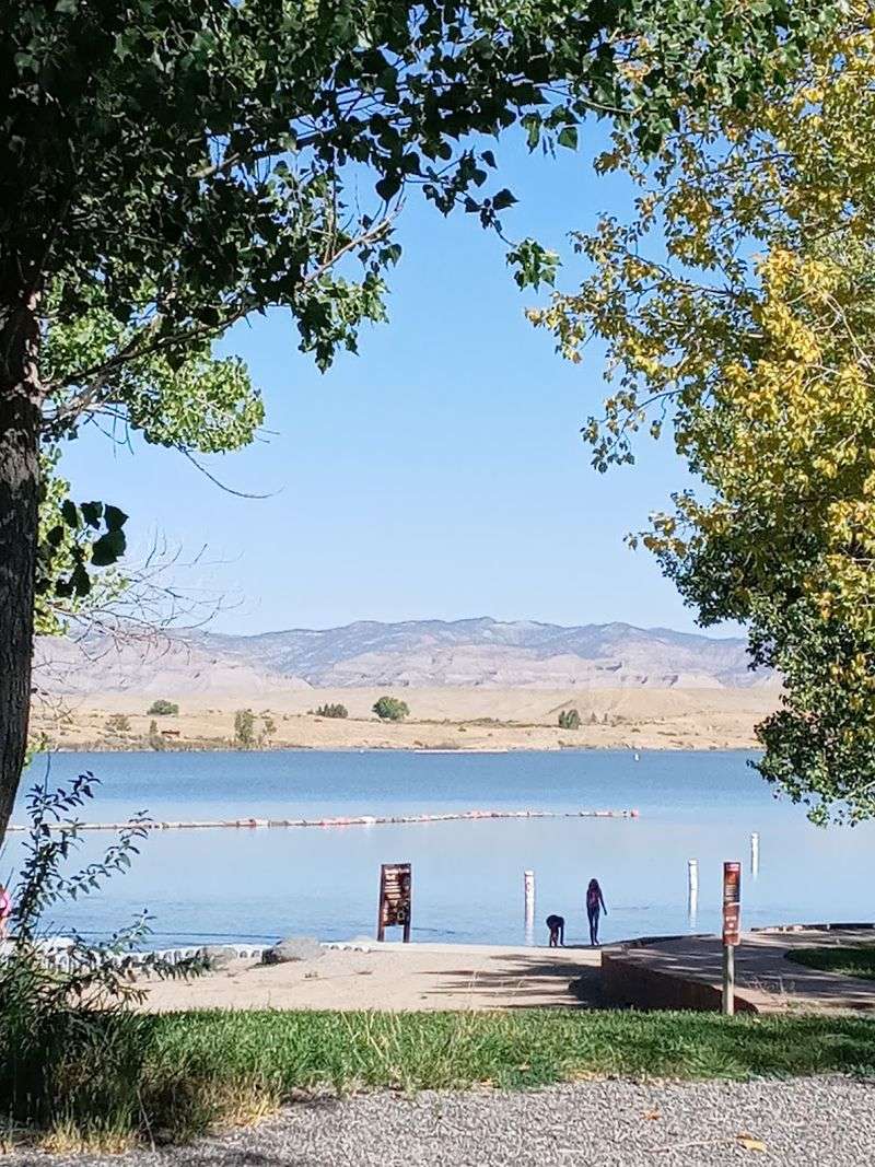 Wildlife and Birdwatching Worth Bringing a Lens For