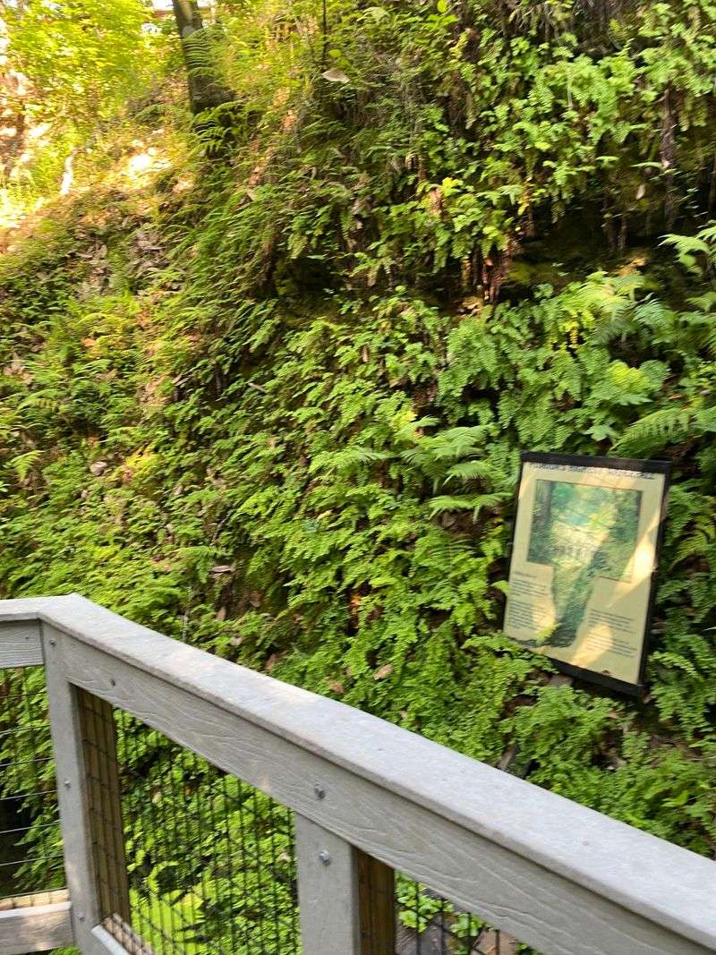 The Butterfly Garden: A Kaleidoscope Of Wings