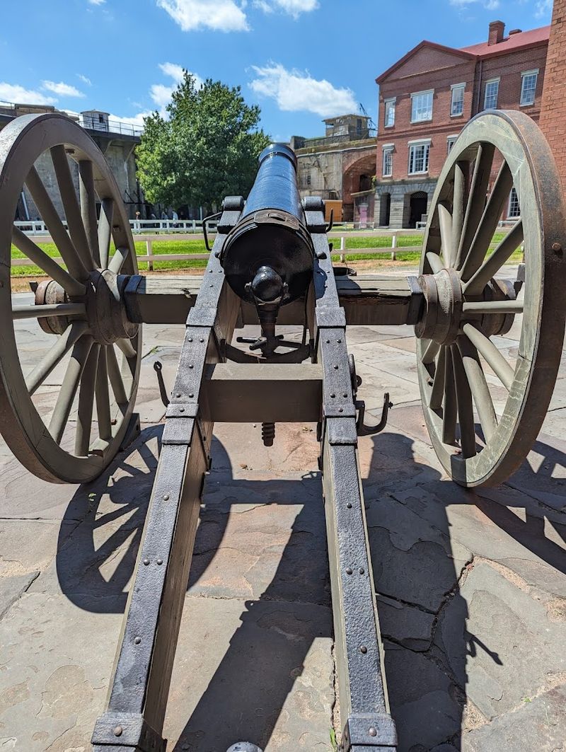 The Cannon Demonstration You Will Feel In Your Bones The Cannon Demonstration You Will Feel In Your Bones