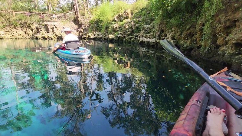 Snorkeling Reveals An Underwater World Most People Never See