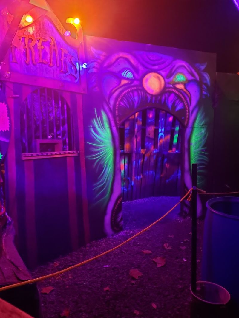 The Carnival Theme And Creative Vision