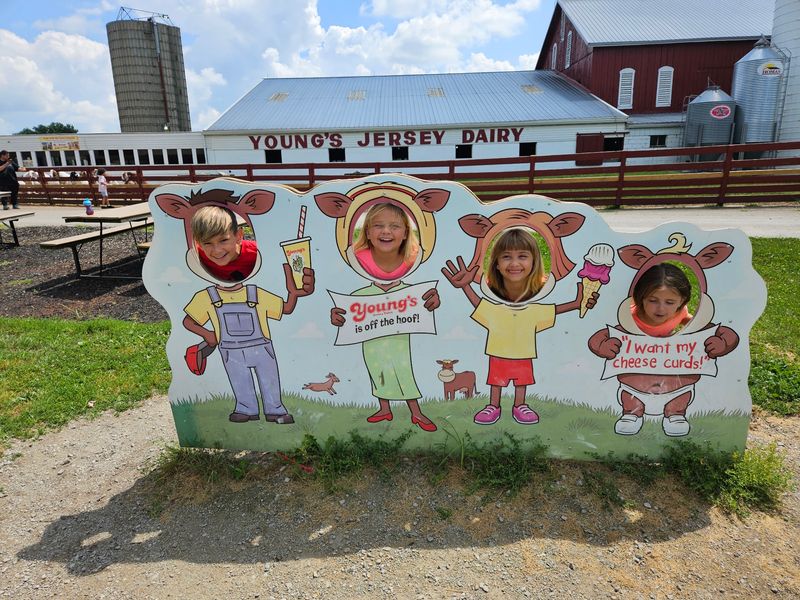 The Carousel And Rides For Little Ones