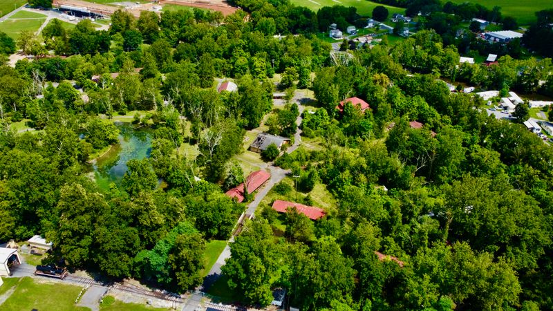 Picnic Groves Drew Thousands for Company Outings