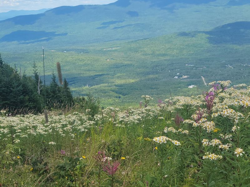 The Carrabassett Valley