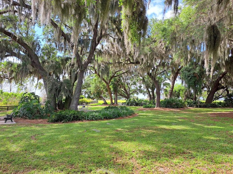 Cassadaga's Natural Setting and Atmosphere