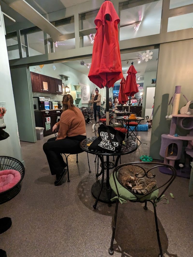 Walk-Ins Are Welcome, But Booking Ahead Has Perks