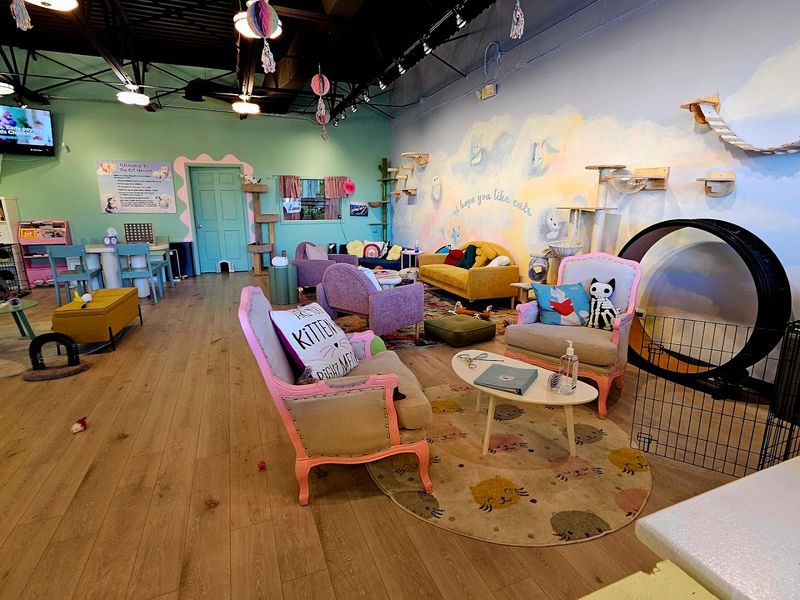 The Cat House Cat Lounge and Boutique, Roselle