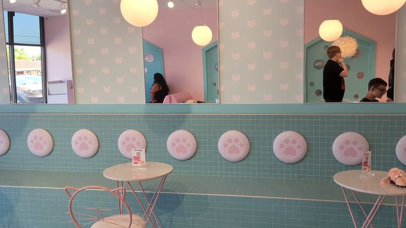 Booking a Session: What You Need to Know Before You Go