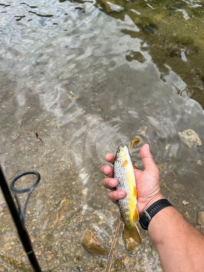  The Catch Of A Lifetime