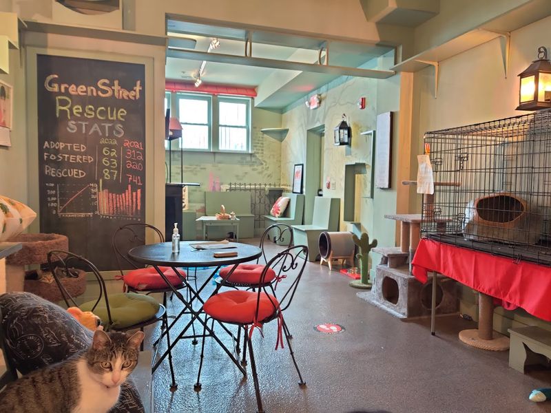 The Space Stays Clean And Well-Maintained