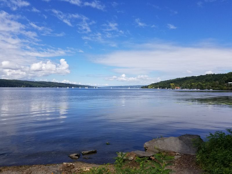 Finger Lakes & Seneca/Cayuga Lakes
