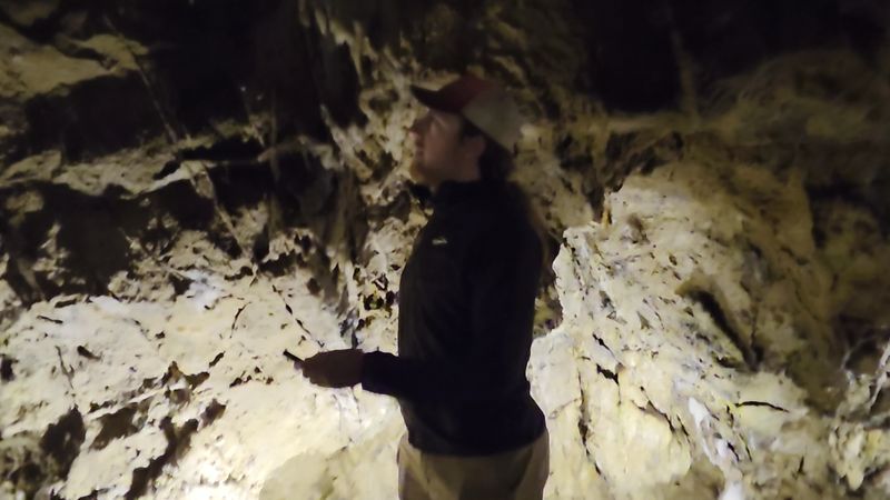 Guided Tours Run Every Day of the Week